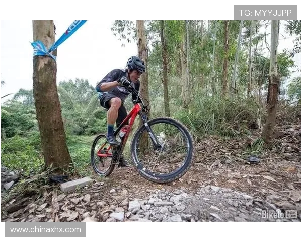 南京极限运动队战术深度解析与对比研究