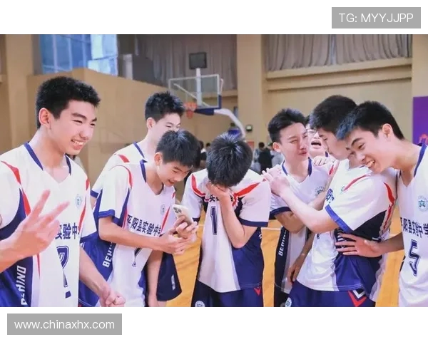 杭州排球队总决赛背后的奋斗故事与荣耀之路