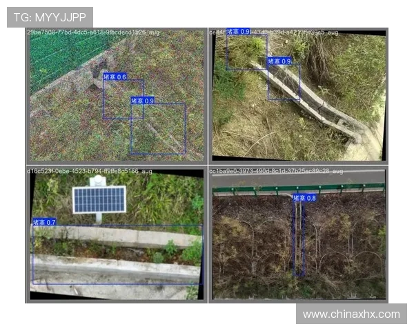 武汉极限运动队耐力表现数据分析与训练策略探讨