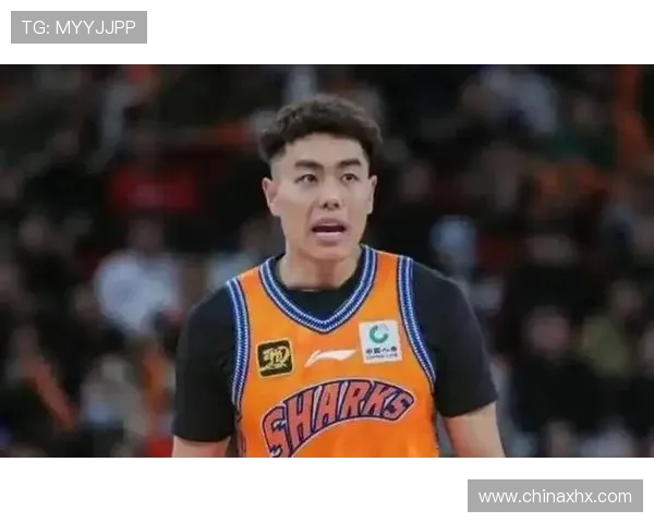 李添荣的奋斗历程与成就揭秘：从平凡到卓越的成长故事